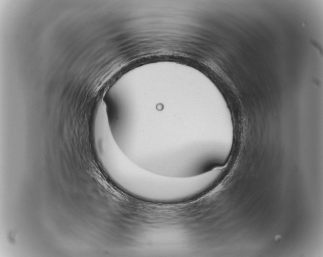 X0000102390969200808291420
