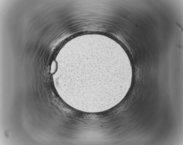 X0000102390971200808291419