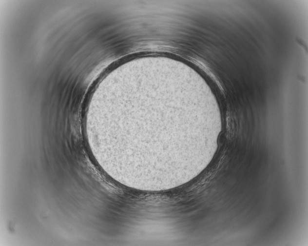 X0000102390972200808291419