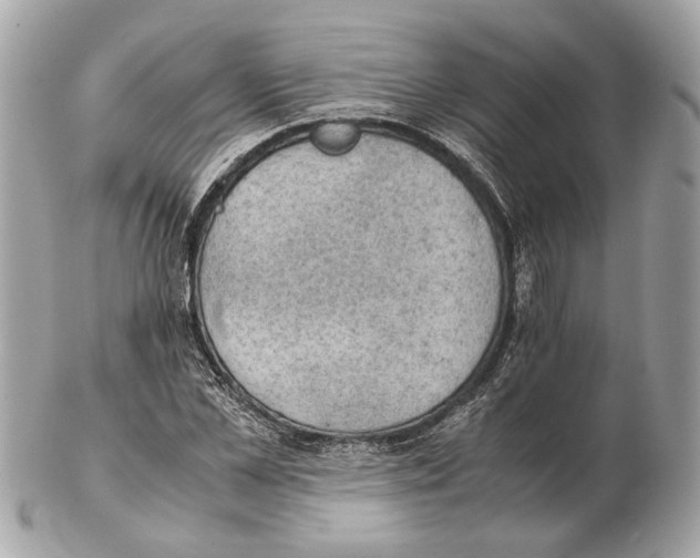 X0000102390973200808291419