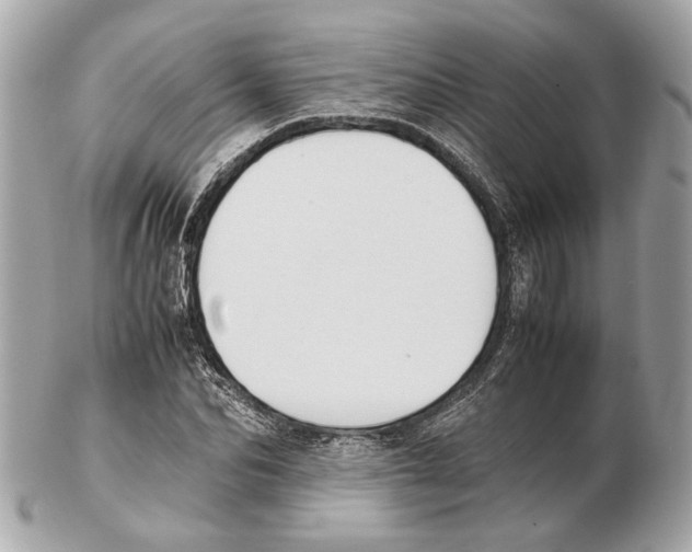 X0000102390974200808291419