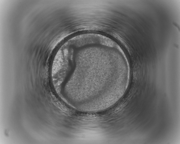 X0000102390975200808291419