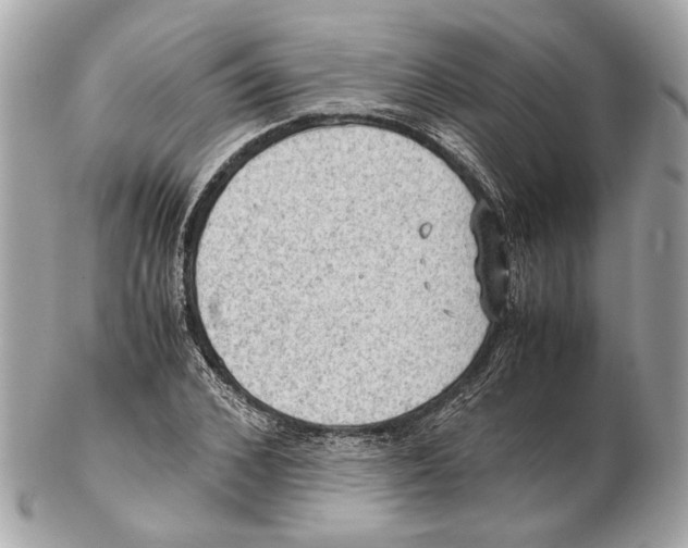 X0000102390976200808291419