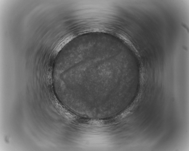 X0000102390977200808291419