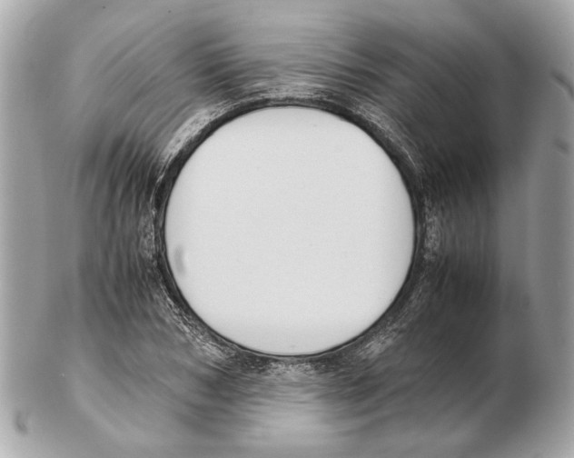 X0000102390978200808291419