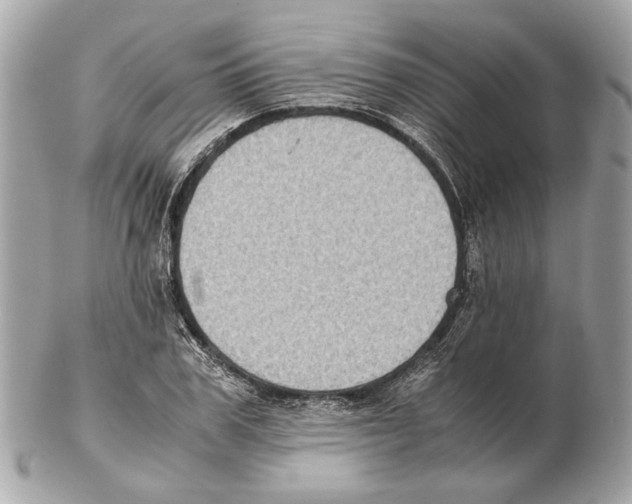 X0000102390979200808291419