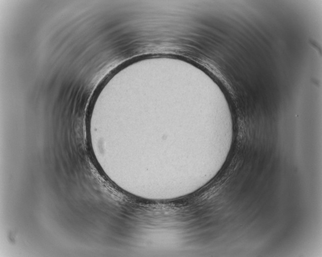 X0000102390980200808291419