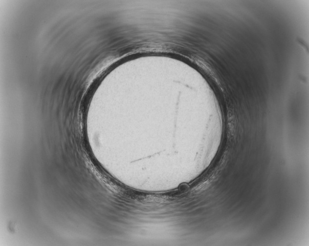 X0000102390981200808291419