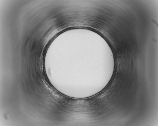 X0000102390982200808291419