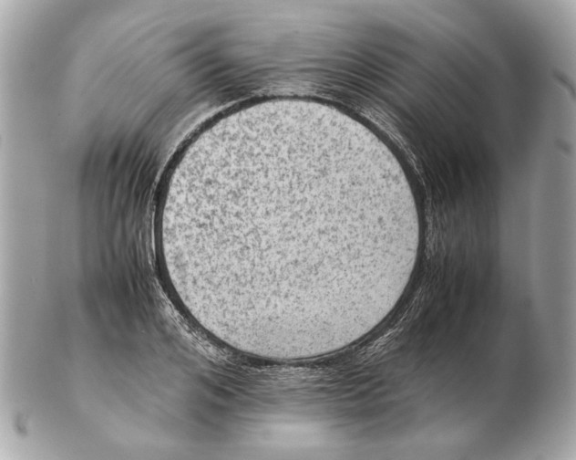 X0000102390984200808291419