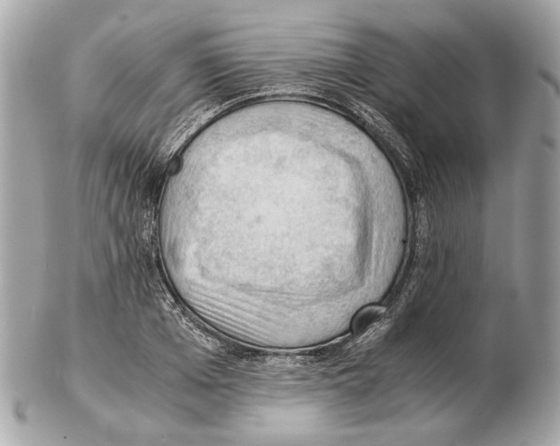 X0000102390985200808291419