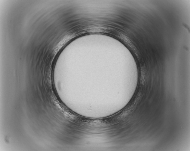 X0000102390986200808291419