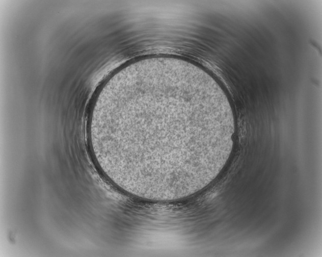 X0000102390987200808291419