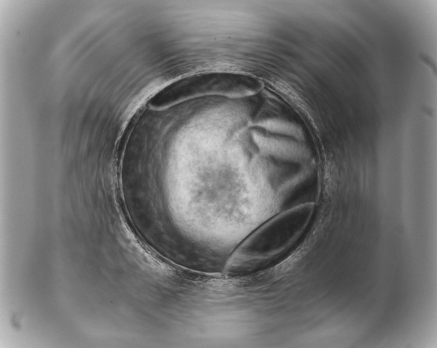 X0000102390989200808291419