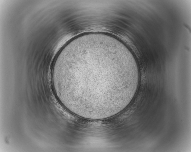 X0000102390990200808291419