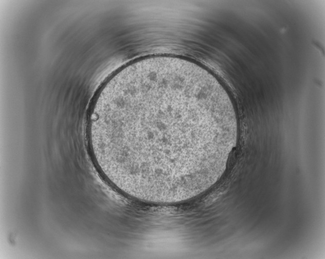 X0000102390991200808291419