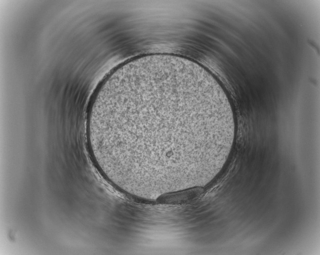 X0000102390992200808291419