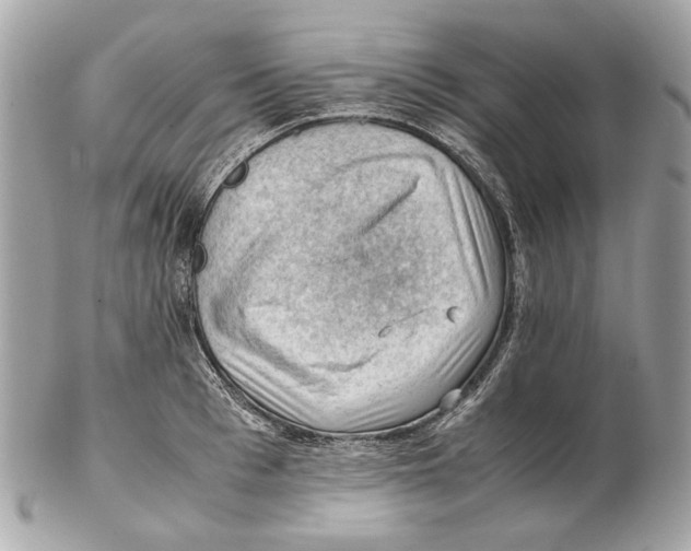 X0000102390993200808291419