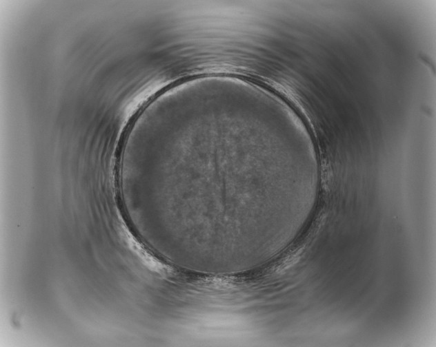 X0000102390995200808291419