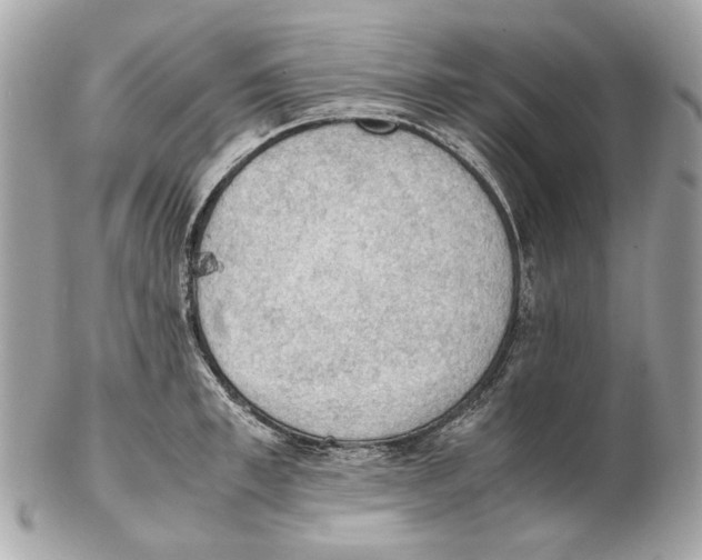 X0000102390997200808291419