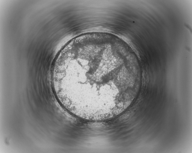 X0000102390998200808291419