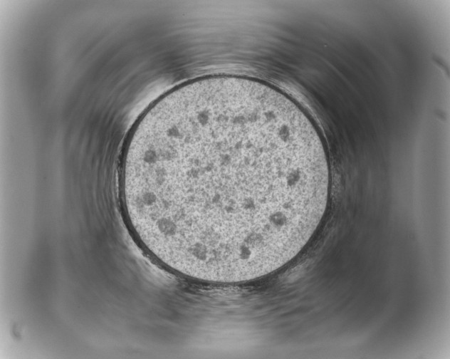 X0000102390999200808291419