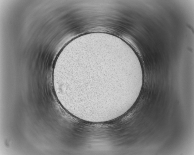 X0000102391000200808291419