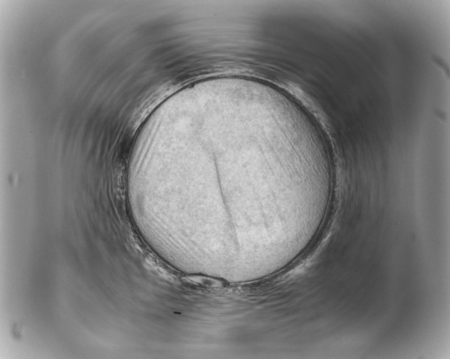 X0000102391001200808291419
