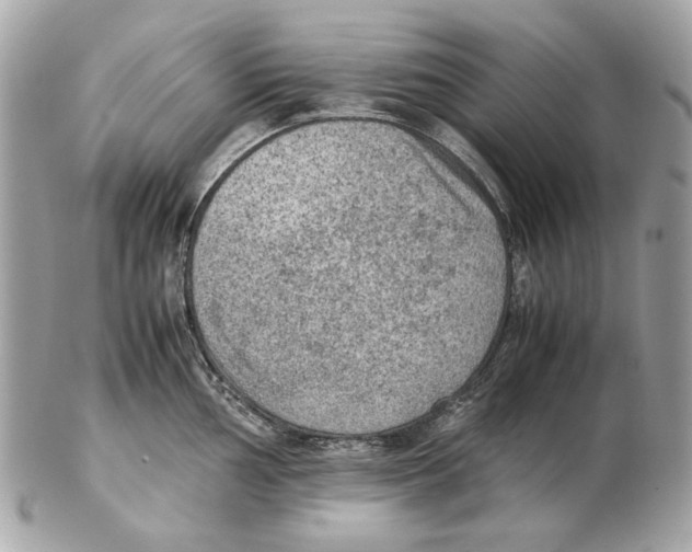 X0000102391002200808291419