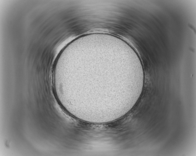 X0000102391003200808291419