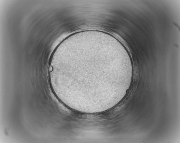 X0000102391005200808291419