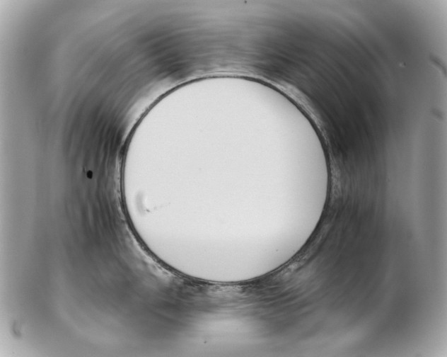 X0000102391006200808291419