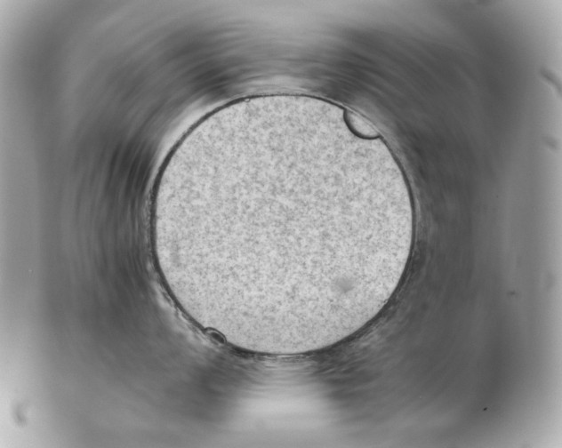 X0000102391008200808291419