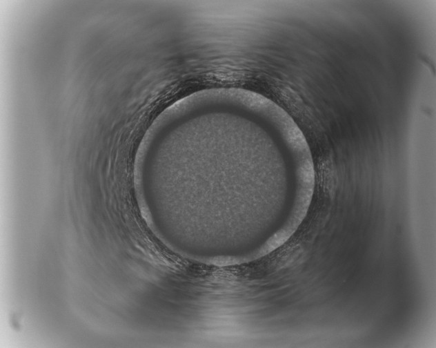 X0000102391009200808291418