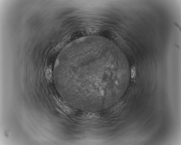 X0000102391011200808291418