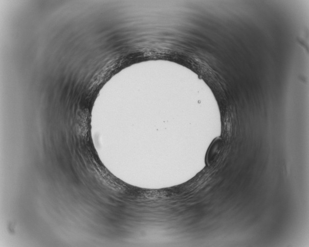 X0000102391012200808291418