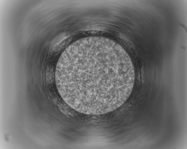X0000102391014200808291418