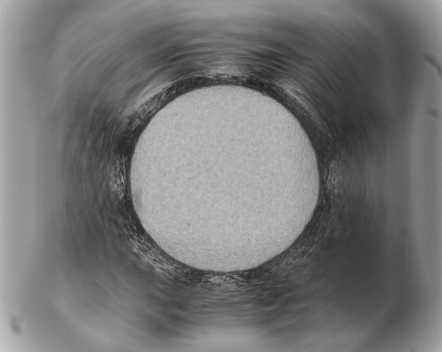 X0000102391015200808291418