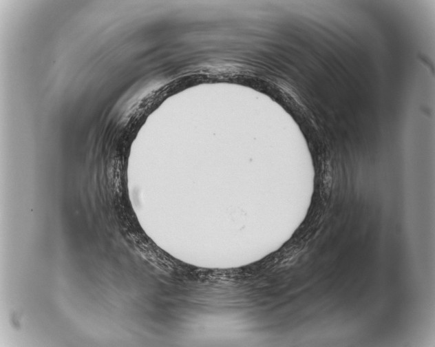 X0000102391016200808291418