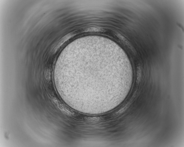 X0000102391017200808291418