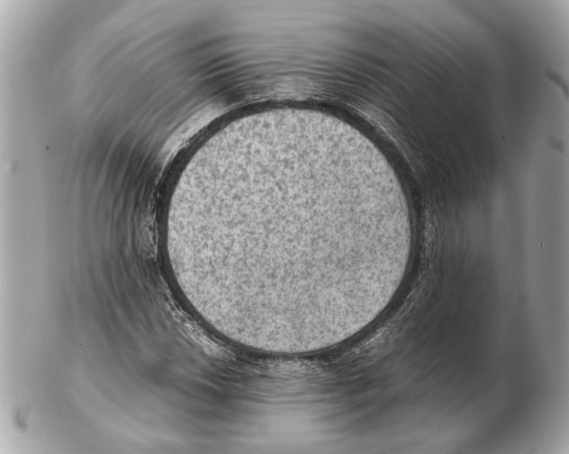 X0000102391018200808291418