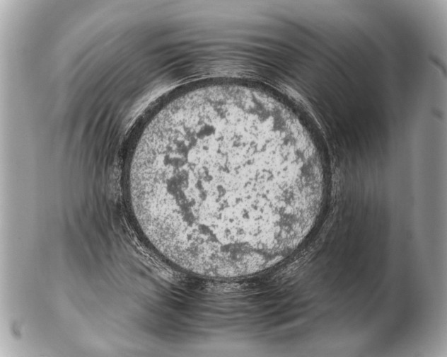 X0000102391019200808291418