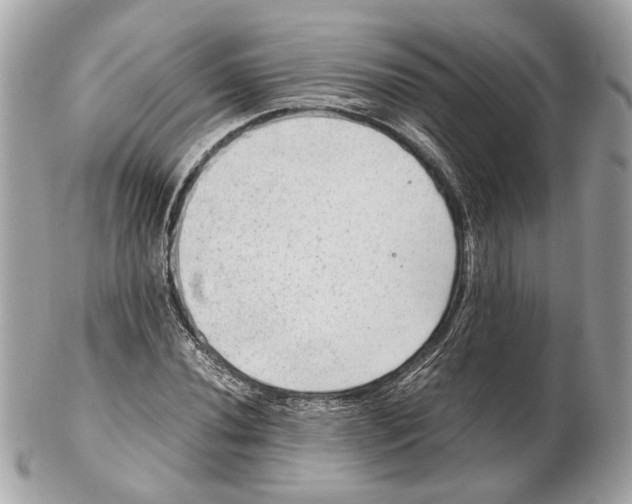 X0000102391020200808291418