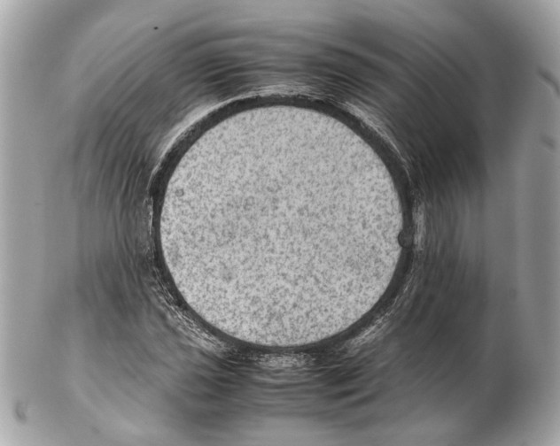 X0000102391021200808291418