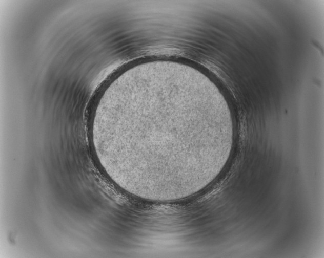 X0000102391022200808291419
