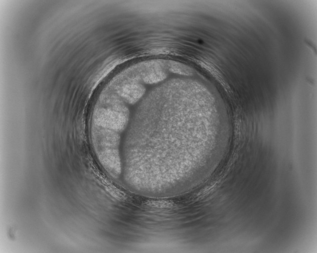 X0000102391023200808291419