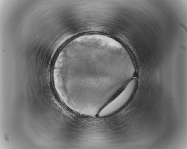 X0000102391024200808291419