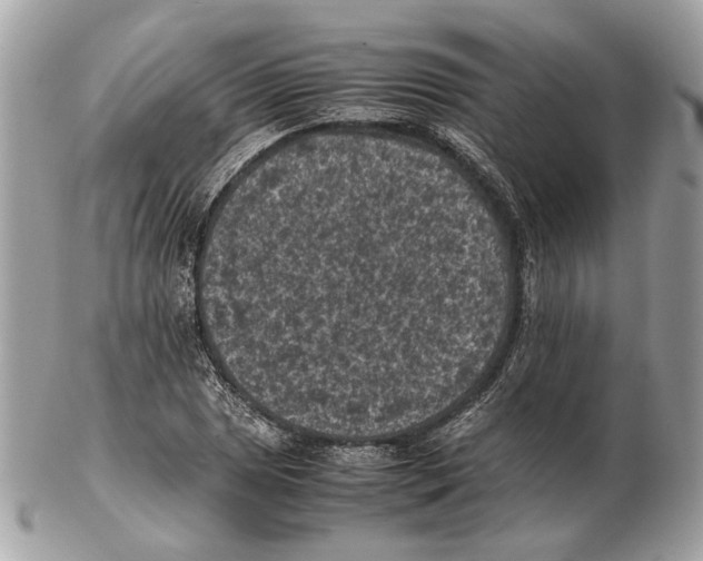 X0000102391025200808291419