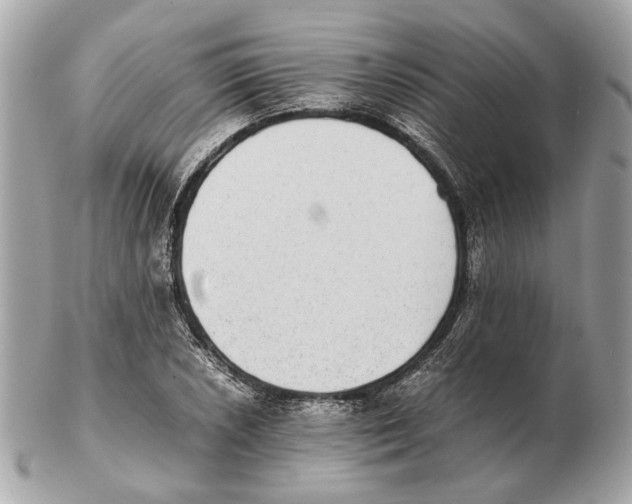 X0000102391026200808291419