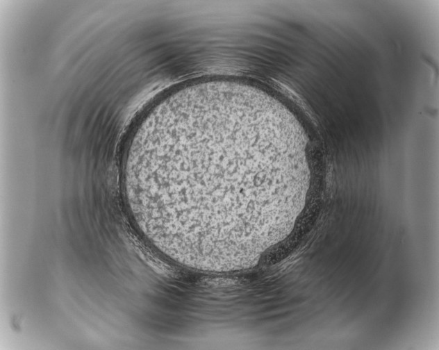 X0000102391027200808291419